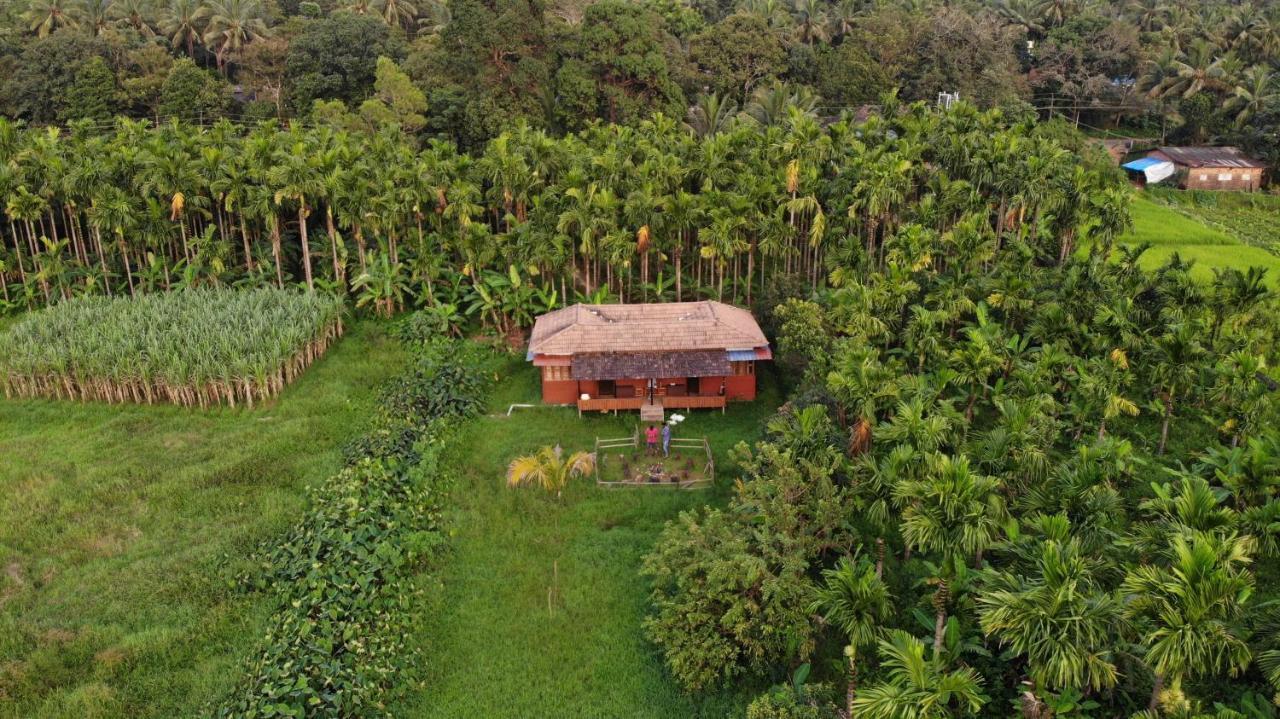 Ibbani Homestay, Siddapur Eksteriør billede