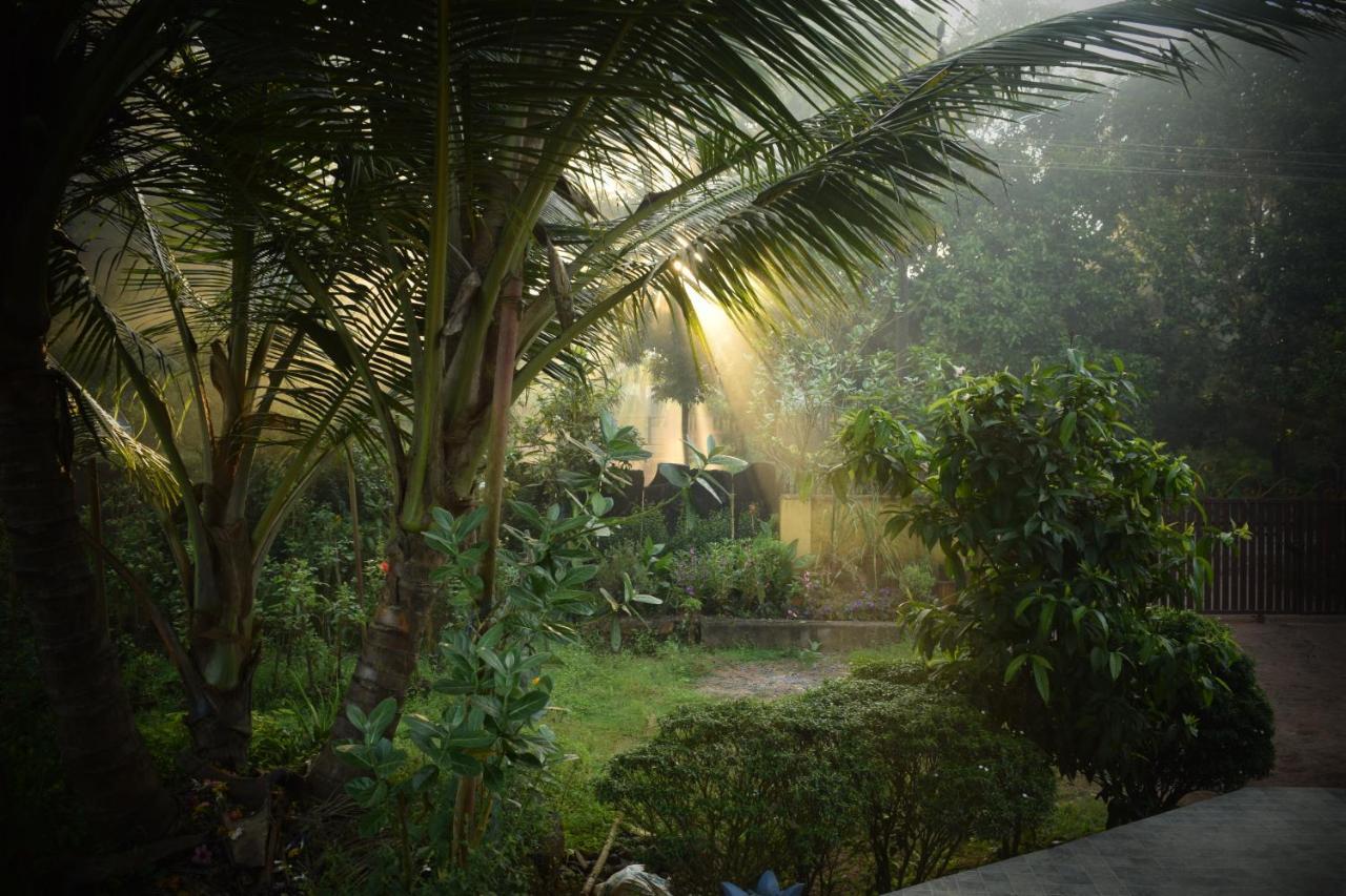 Ibbani Homestay, Siddapur Eksteriør billede