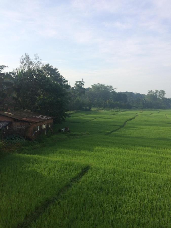 Ibbani Homestay, Siddapur Eksteriør billede