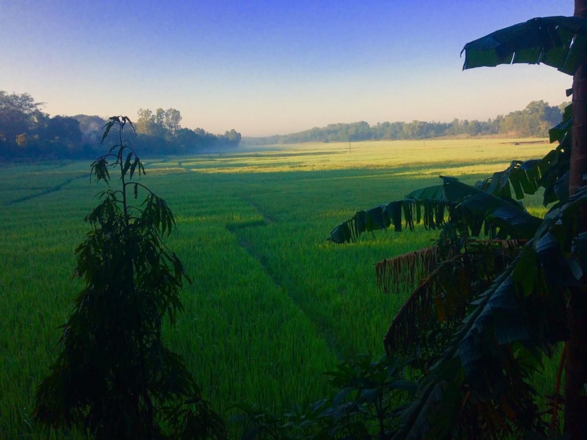 Ibbani Homestay, Siddapur Eksteriør billede